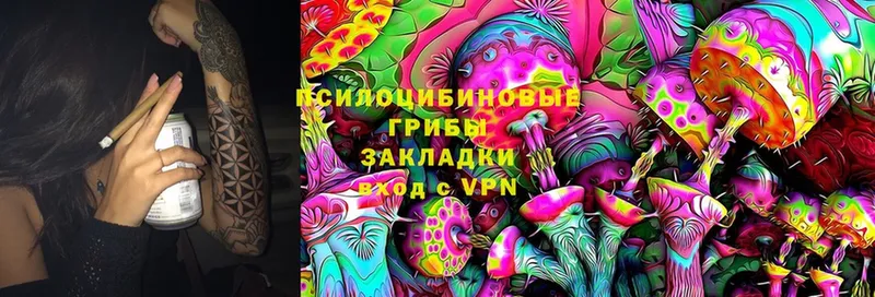 Псилоцибиновые грибы Psilocybe  Колпашево 